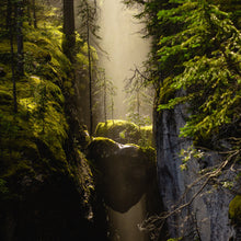 "Heart of Life" by Ryan Ong, Photograph on Fine Art Paper