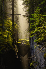 "Heart of Life" by Ryan Ong, Photograph on Fine Art Paper