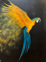 "Golden Flight" by Niloo Pariscari, Mixed Media on Canvas