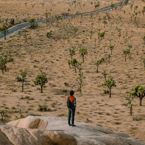 Person standing on a rocky outcrop in a desert landscape with sparse vegetation.