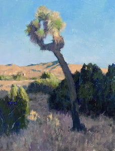 “Ryan Ranch (Sunrise)” by by Francis DiFronzo, Oil over Acrylic and Gouache