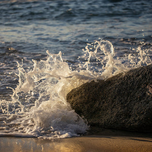 "Saltwater Web-Laguna Beach" by Jenni Frase, Photograph on Fine Art Paper