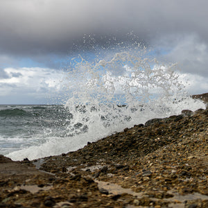 "Treasure Island" by Jenni Frase, Photograph on Fuji Crystal Matte