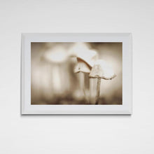 "Street Mushrooms" by Kathleen Jennette, Photograph on Fine Art Paper