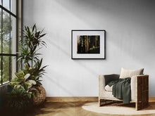 Modern interior with a chair, plants, and framed picture on a gray wall.