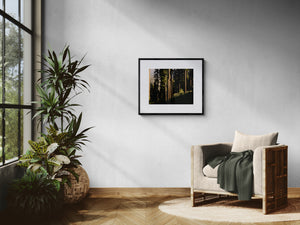 Modern interior with a chair, plants, and framed picture on a gray wall.