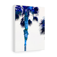 Palm Trees TV Blue Stretched Canvas