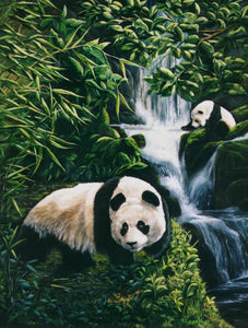 "Panda Bears" Triptych by Laura Curtin, Oils on Canvas