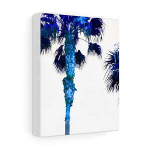 Palm Trees TV Blue Stretched Canvas