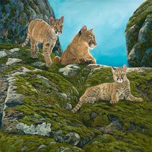 "Cougar Ledge" by Laura Curtin, Oils on Canvas