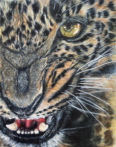 "Fierceness" by Thomas Ciccone, Colored Pencil on Paper