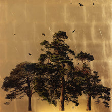 "Arboretum Pinus In Excelcis II" by Robert Pereira Hind, Gold Leaf Schlag Metal
