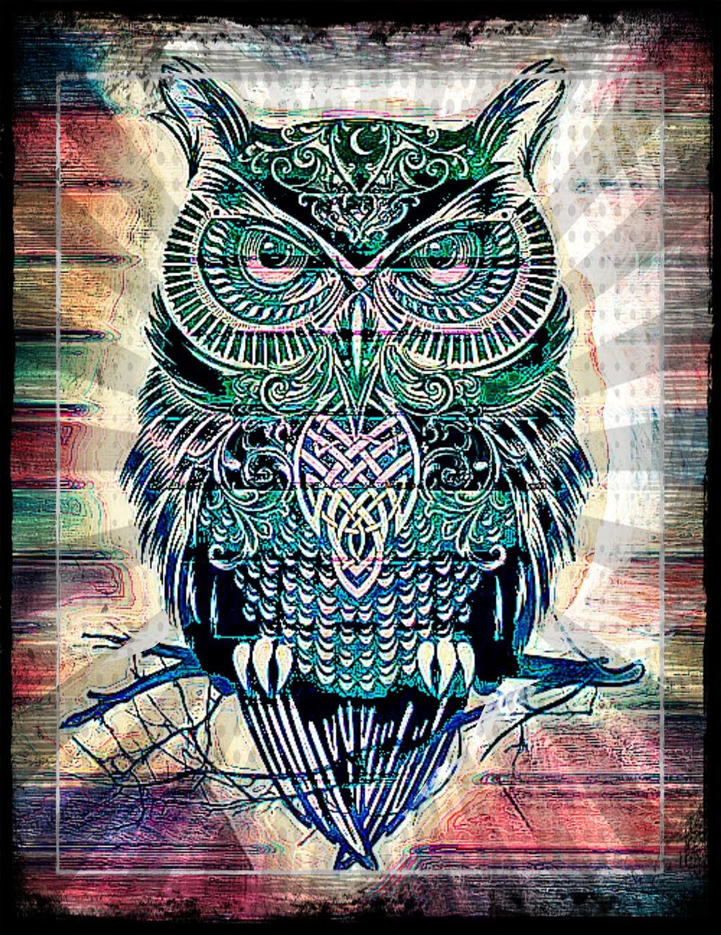 Wailing Owl by Luke Dague