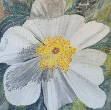 "Desert Poppy" by Roberta Ahrens, Acrylic and Watercolor on Cracked Linen