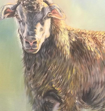 “Sheep at Dusk” By Leigh Stokes, Acrylic on Canvas