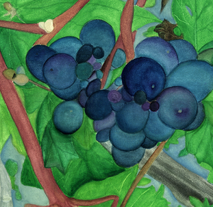 “Harvest Time” By Sylvia Herrera, On Arches Watercolor Paper