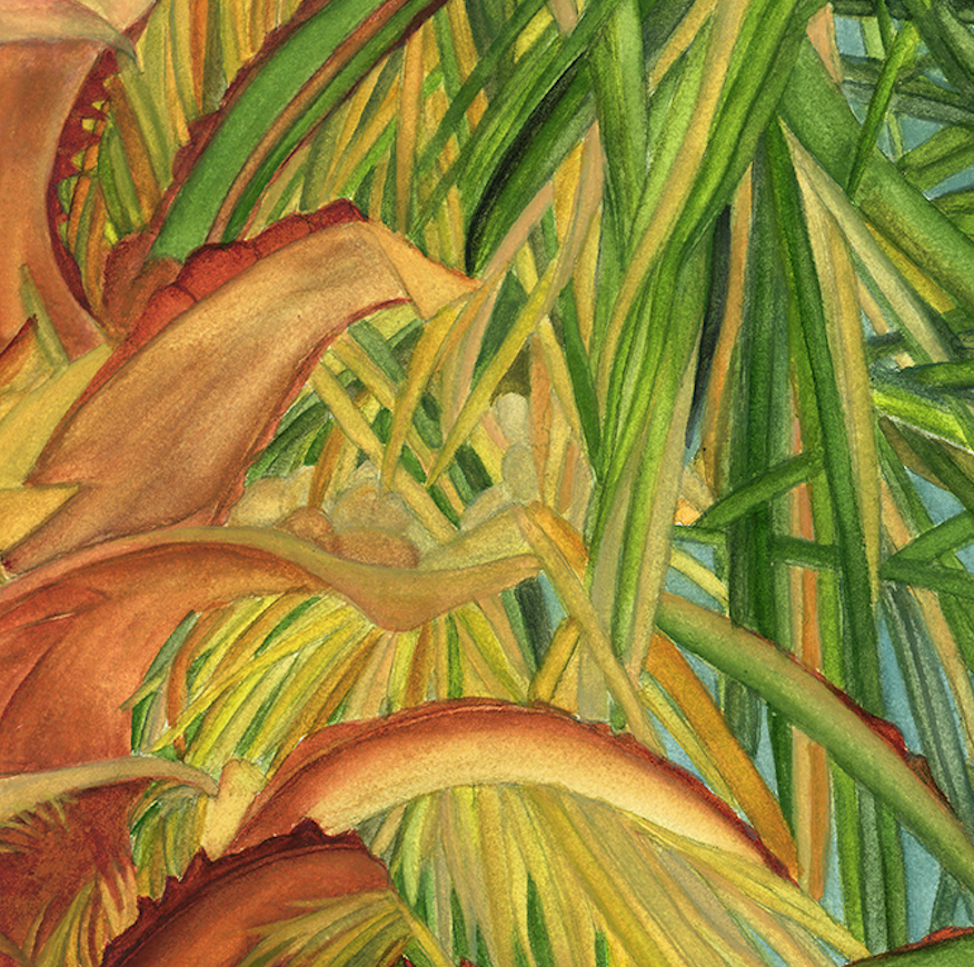 “Caliente Palm” By Sylvia Herrera, On Arches Watercolor Paper
