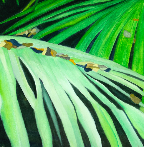 “Palms and Pebbles” By Sylvia Herrera, On Arches Watercolor Paper