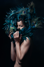 “Peacock Feathers” Scott Weingarten, Digital Photography