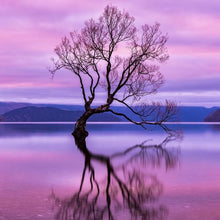 "The Wanaka Tree" By Armand Nour, On Archival Paper