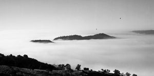 ""Foggy Morning Napa Valley”" By Chris Purdy,  Photograph on un-stretched Canvas