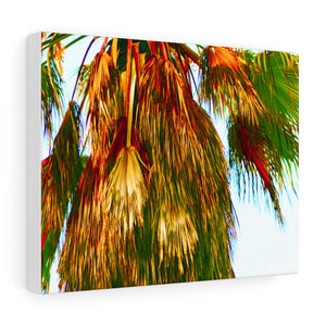 Palm Trees Beach Stretched Canvas