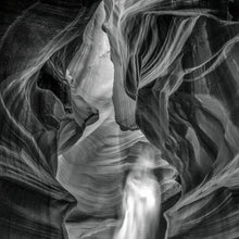 "Phantom" by Harv Greenberg, Photograph on Aluminum