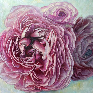 "Ranunculus" by Helen Neumann, Oils on Canvas