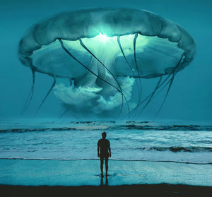 "Jellyfishes Look Like Spaceships" By Kemi Schneider, Digital Art