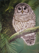“Barred Owl” By Kristi Argyle, Acrylic on Canvas