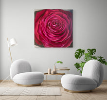 "The Velvet Rose" by Milana Waldron, Oil on Canvas