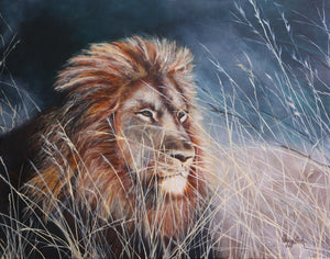 "Majestic King of the Jungle" by Peggy Bosh, Oils on Canvas