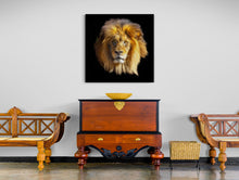 "Regal" by Ric Sorgel, Photograph on Acrylic